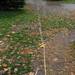 A long tape measure is seen stretched out on the property at Jenny's Farm Market, located at the corner of Island Lake Road and Dexter-Pinckney Road just outside Dexter on Wednesday. Melanie Maxwell I AnnArbor.com